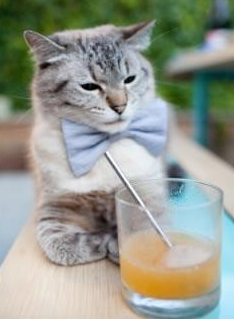 新型引擎亮相：F1动力系统全新升级，f1 动力