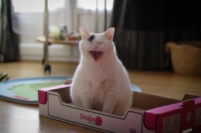 AYX官网-史上最“疯狂”的逆转战役，谁能刷新纪录？，逆转战争