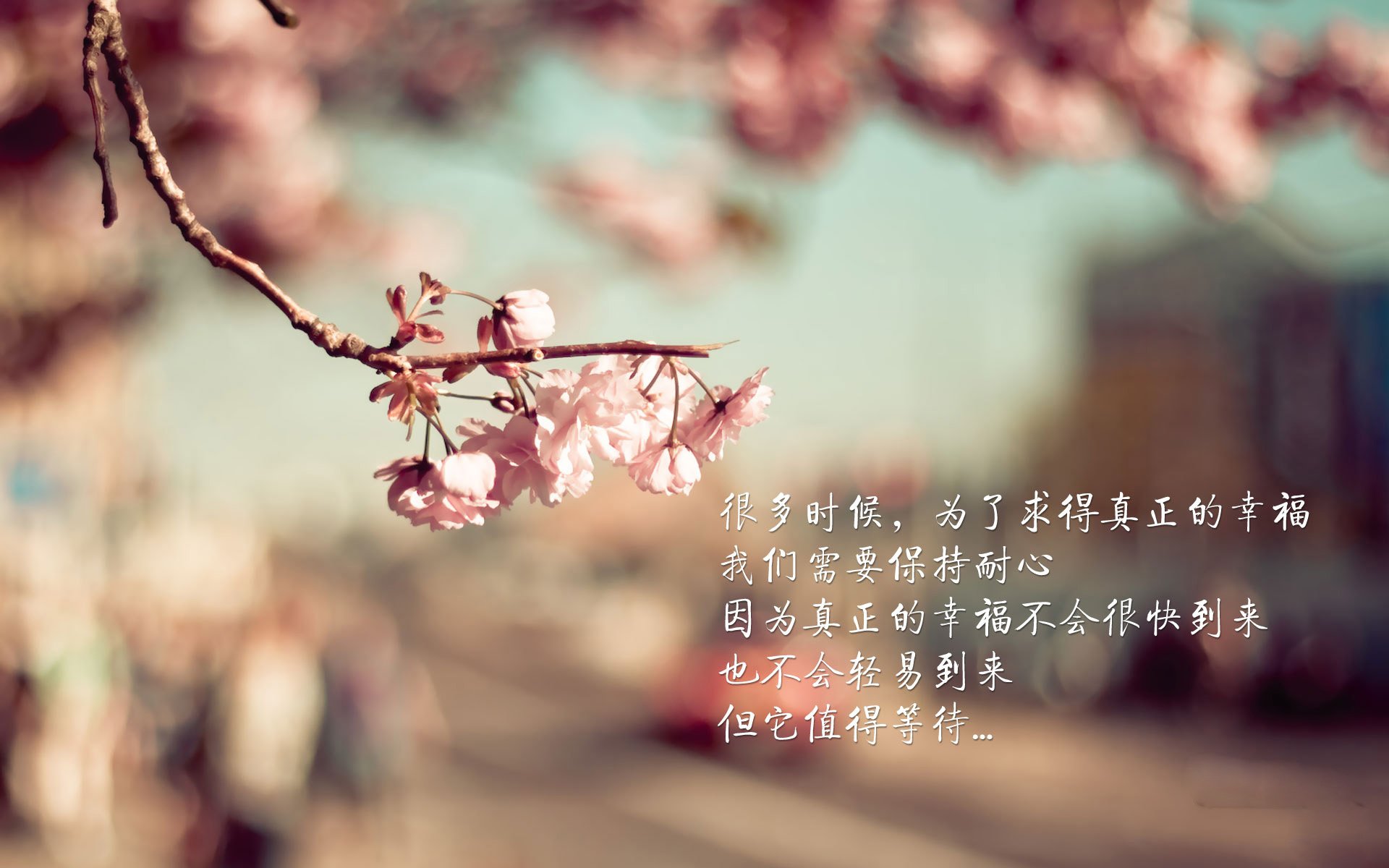 伊加·斯维亚泰克夺得2024年法网女单冠军,2021法网女单冠军